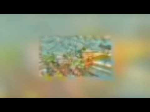Видео: [Марвел: Мета эссенция гача] главы 51-74.2 Альтернативный сюжет по Марвел