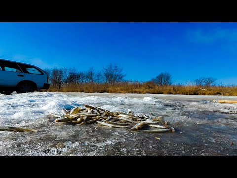 Видео: Поехал на разведку. Рыбалка на КОЗЯВКИ не далеко от дома.