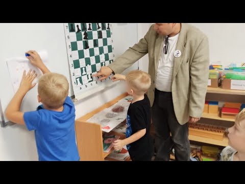 Видео: Сборная Тульской области. Анализ партий. Литература для повышения класса.