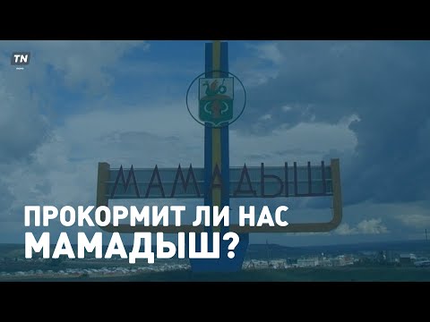 Видео: Прокормит ли нас Мамадыш? // фильм из цикла «Сделано в Татарстане»