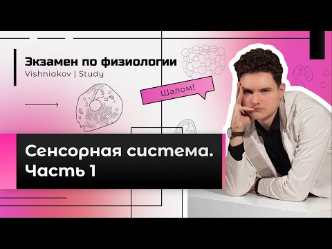 Видео: Экзамен по физиологии | СЕНСОРНАЯ СИСТЕМА. Часть 1