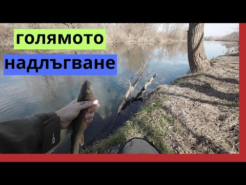 Видео: КЕФАЛСКО НАДЛЪГВАНЕ НА Р.  ВИТ