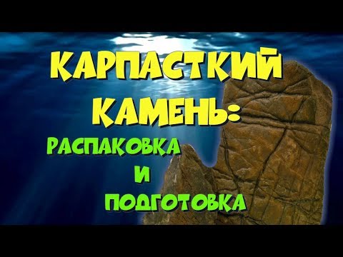 Видео: Карпатский камень. Подготовка к погружению в аквариум