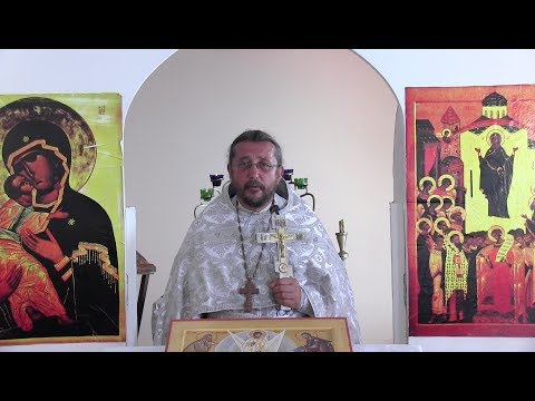 Видео: Какие признаки того, что человек живет не по воле Божией. Священник Игорь Сильченков