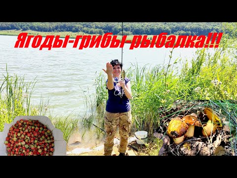 Видео: Ягоды-грибы-рыбалка!!!