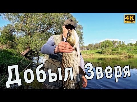 Видео: Спиннинг на малой реке. Рыбалка на голавля и жереха