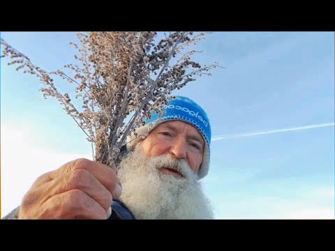 Видео: Путь к РОДнику. И пару слов о полыни.