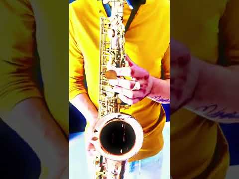 Видео: Раймонд Паулс - Листья желтые (SAX cover by OppositeMus)