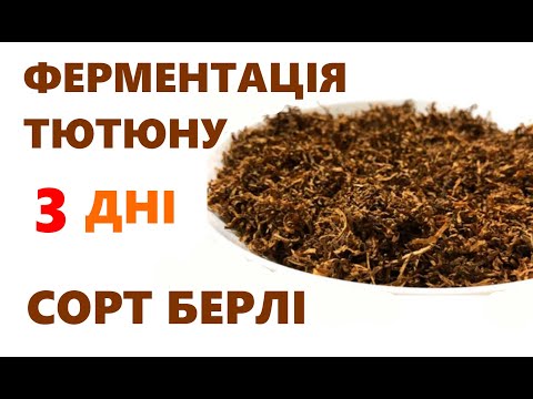 Видео: #1 Ферментація тютюну. Швидка ферментація Берлі. Як ферментувати тютюн за 2 дні без ферментатора.