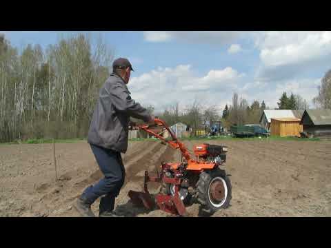 Видео: Нарезаю гребни мотоблоком и сею морковь.