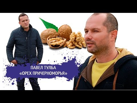 Видео: БИЗНЕС ПО ВЫРАЩИВАНИЮ ГРЕЦКОГО ОРЕХА  / Смешанные сады / STARTUP