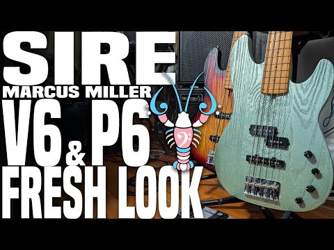 Видео: Sire V6 и P6 Fresh Look — новые ЛЕГКИЕ и обработанные пескоструйным аппаратом бас-гитары — LowEnd...
