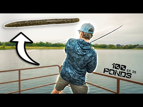 Видео: Этот рыболовный червь — ЧИТ-КОД! (Поймай в 5 раз больше окуня)