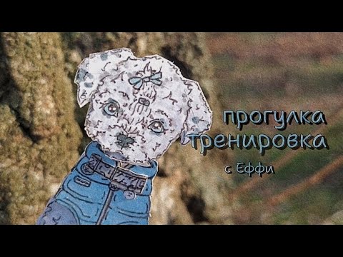 Видео: 🫶🏻Vlog. прогулка-тренировка с бумажной собакой Еффи.🐾🩶