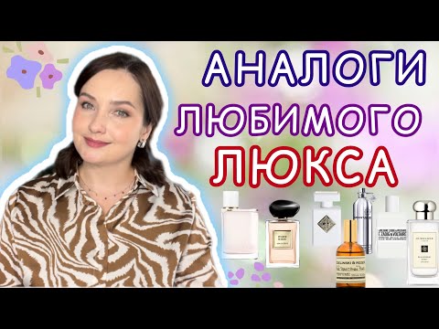 Видео: 🔥Аналоги ЛЮКСА и НИШИ за 950 р.🔥 Вся ПРАВДА про ENFES | Бюджетные ароматы| Я в шоке!!!💯