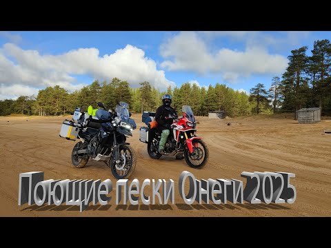 Видео: Поющие пески Онеги 2025, или холодный продубас