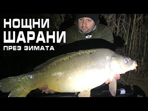 Видео: Нощни шарани през зимата и тайния монтаж...