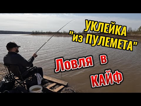 Видео: Ловля уклейки на поплавок. КЛЮЕТ как из ПУЛЕМЕТА!