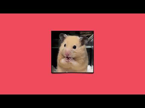 Видео: ♡ Лучшие песни ♡ +ВАЙБ ♡ Speed up ♡