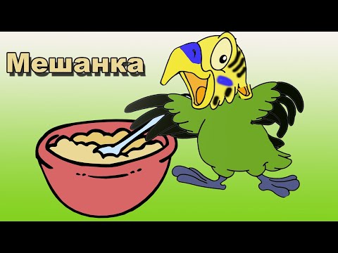Видео: Мешанка для попугаев.