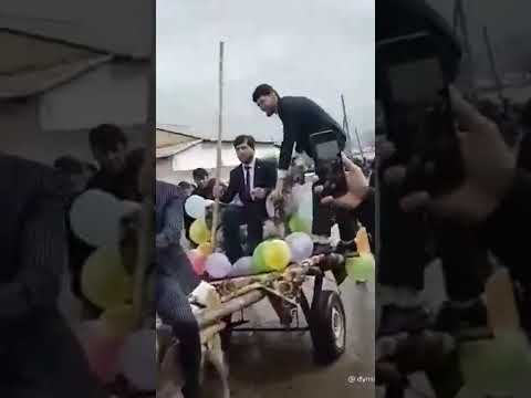 Видео: #АНА ИРА #ТУЙ # МЕГАН