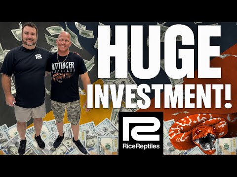 Видео: Огромные инвестиции!!! 💰💲🐍