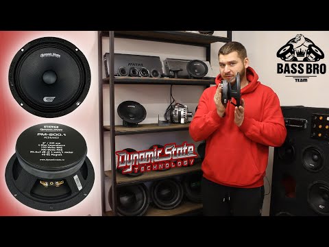 Видео: Обзор DYNAMIC STATE CUSTOM CM-20.3 и PRO PM-200.1. Сравнение с AurA SM-C804v3