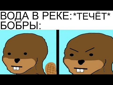 Видео: Мемы | Дневная подборка мемов 644