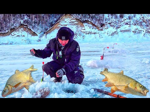 Видео: ТАК ЛОВИТ ТОЛЬКО ЭТА СНАСТЬ! Язь, лещ, налим! Супер рыбалка на КОМБАЙНЫ