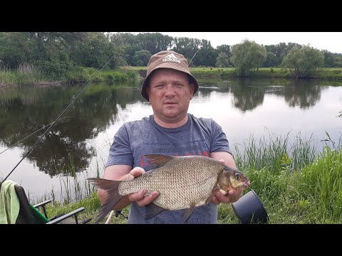 Видео: Лещ. Синец. Плотва. Рыбалка в Мае. Река Северский Донец пос.Гусаровка