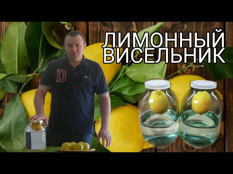 Видео: ЛИМОННЫЙ ВИСЕЛЬНИК РЕЦЕПТ ОТ А ДО Я