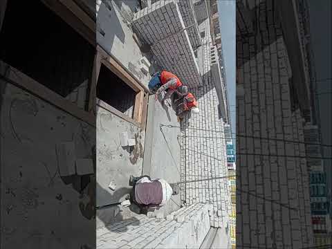 Видео: 14 сентября 2025 г.
