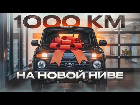 Видео: 1000 км за НОВОЙ нивой. Как ОБМАНЫВАЮТ в автосалонах!