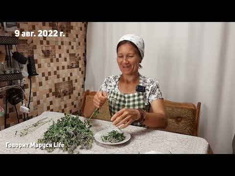 Видео: НЕ НАДО СТЕСНЯТЬСЯ! Без этого жить нельзя/Ответы на вопросы 9 августа 2022