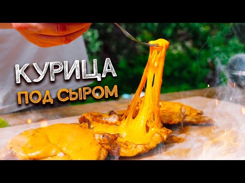 Видео: ГУБА НЕ ДУРА - СЫРНАЯ КУРА!