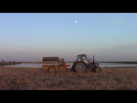 Видео: Поход к ячменному полю!