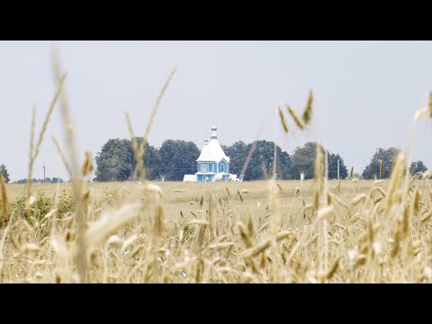 Видео: Храм Св. Дмитрия Ростовского. Д. Выдренка