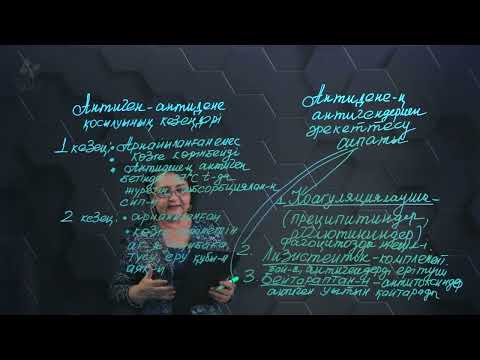 Видео: Антиген мен антидененің әрекеттесу механизмі. 3 бөлім. 11 сынып.