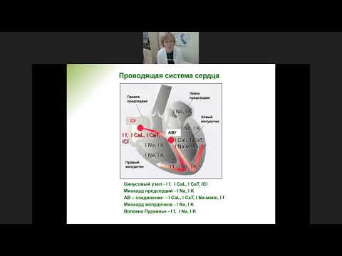 Видео: Подходы к современной профилактической антиаритмической терапии
