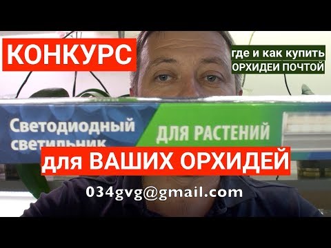 Видео: ФИТОЛАМПА для орхидей и где, как, почем купить ОРХИДЕИ ПОЧТОЙ