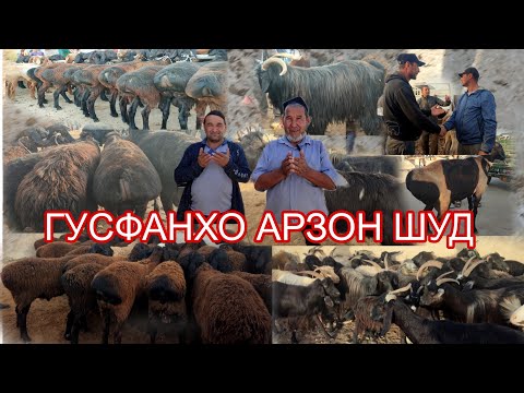 Видео: МОЛ БОЗОРИ НОХИЯИ ДУСТИ БОЗОРИ БАРАКАТ НАРХИ ГУСФАНХО