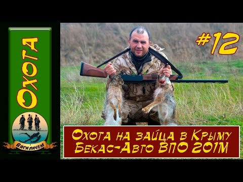 Видео: Охота на зайца сезон 2016 2017  Бекас Авто ВПО 201 М