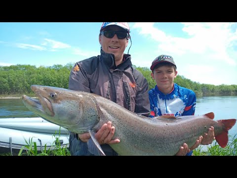 Видео: Рыбалка на Амуре!!! Таймень на 23!!! Амурская щука на 11,5. Охота на трофеев!!! Путешествие с посей