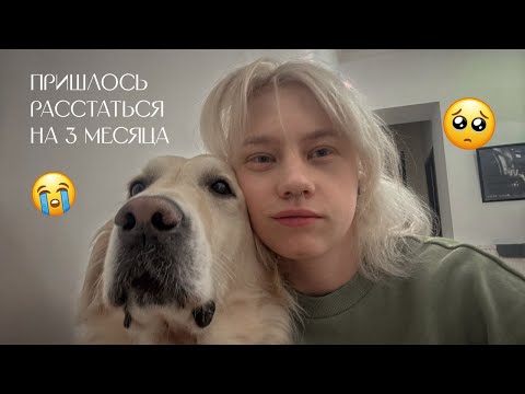 Видео: Перелёт с собакой. 7 шагов, которые вы должны знать.