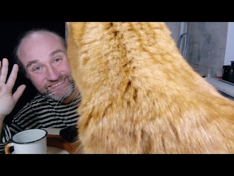 Видео: Завтрак с Рыжулей. Он не доволен мной. Я похудел. Мукбанг. Обжор. Еда на камеру. Диета. Шизофрения.