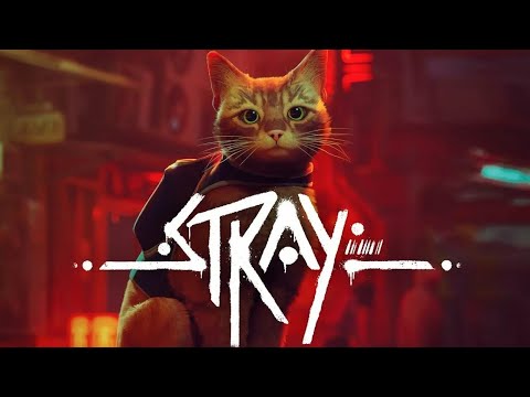 Видео: Stray СТРИМЧИК