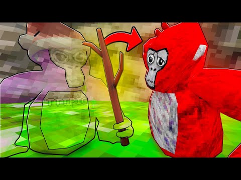 Видео: НЕВИДИМАЯ палка правосудия - Горилла Тег