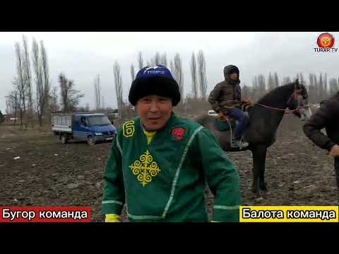 Видео: Кок-бору Покровка ынтымагы учунчу ойун Бугор команда менен Балота командасы
