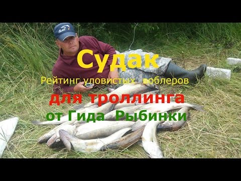 Видео: Обзор троллинговых воблеров для ловли судака