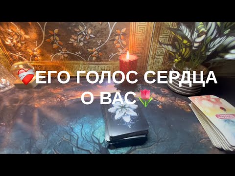 Видео: 12 ноября 2025 г.